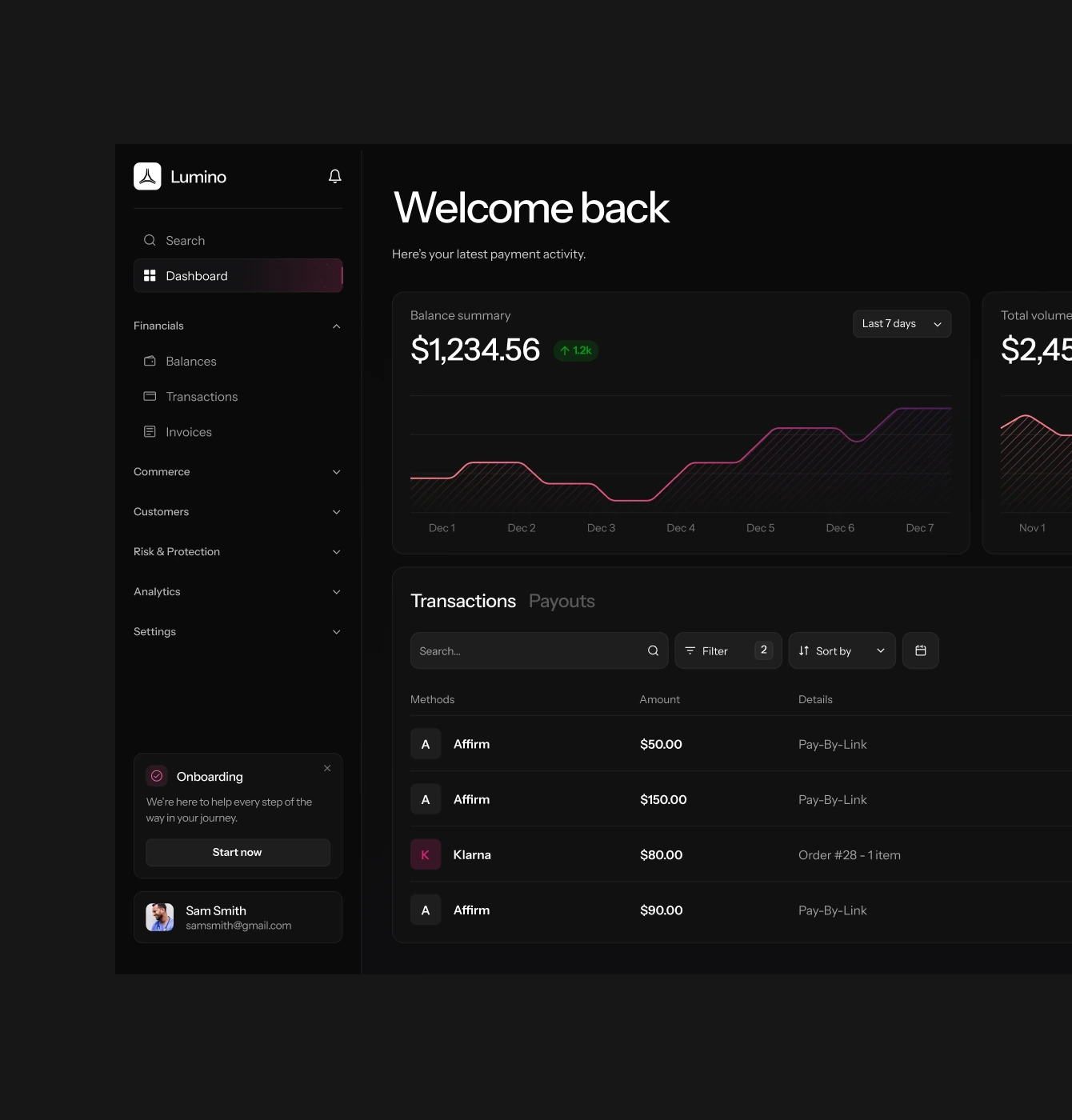 Lumino payments dashboard showing balances, transactions and analytics