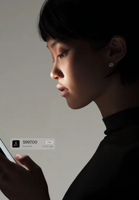 Lumino mobile commerce payment portrait